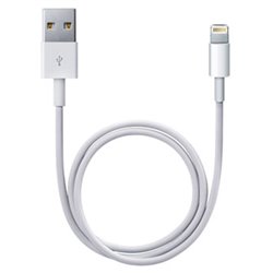 ME291 Apple Câble Lightning USB (1m)