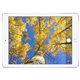 iPad Pro Retina 32Go Wi-Fi 12,9" (argent) [ML0G2] [PACK SERVICE PREMIUM 5 ans de garantie]