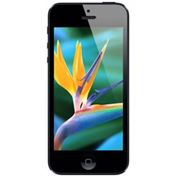 MD297 Apple iPhone 5 (16Go) Black