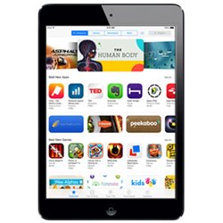 MD530 Apple iPad mini Wi-Fi 64Go (noir ardoise) (late 2012)