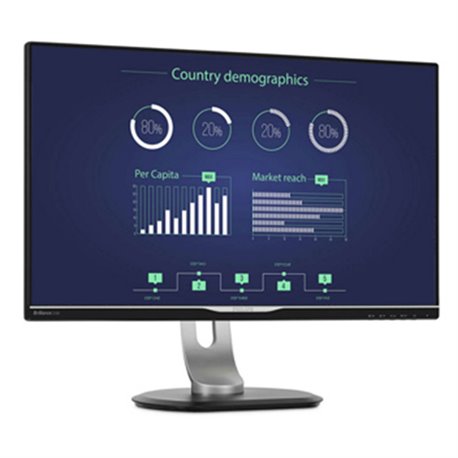 Philips 25" QHD LCD (USB-C, HDMI, DisplayPort, VGA, DVI)