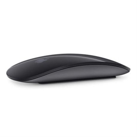 MRME2 Apple Souris Magic Mouse 2 Wireless (gris sidéral) (early 2018)