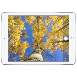 ML0G2 Apple iPad Pro Retina 32Go Wi-Fi 12,9" (argent)