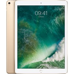 iPad Pro Retina 256Go Wi-Fi 12,9" (or) [MP6J2] [mid 2017] [PACK SERVICE PREMIUM 5 ans de garantie]