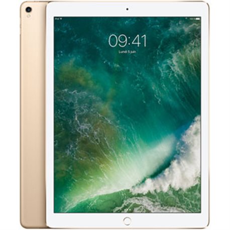 MP6J2 Apple iPad Pro Retina 256Go Wi-Fi 12,9" (or) (mid 2017)