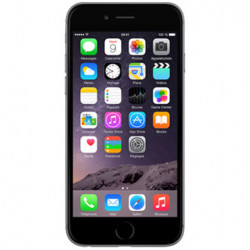 MG4F2 Apple iPhone 6 64Go Gris Sidéral (late 2014)