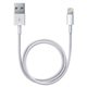 MD819 Apple Câble Apple Lightning USB (2m)