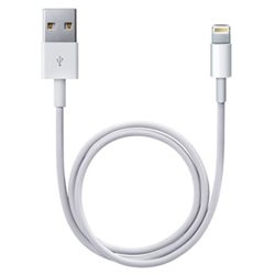 MD819 Apple Câble Apple Lightning USB (2m)