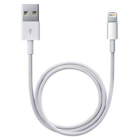 MD819 Apple Câble Apple Lightning USB (2m)