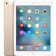 MH172 Apple iPad Air 2 Retina 64Go Wi-Fi + Cellular (Or) (late 2018)